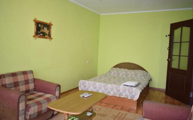 Apartment on Gagarina 67