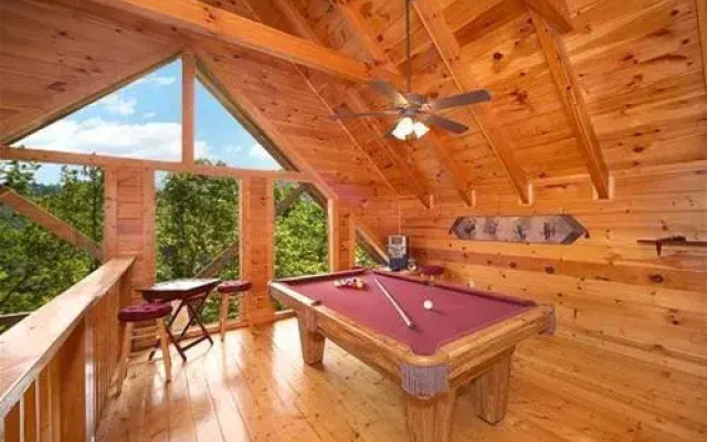 Buddy Bear 249 by Aunt Bug's Cabin Rentals