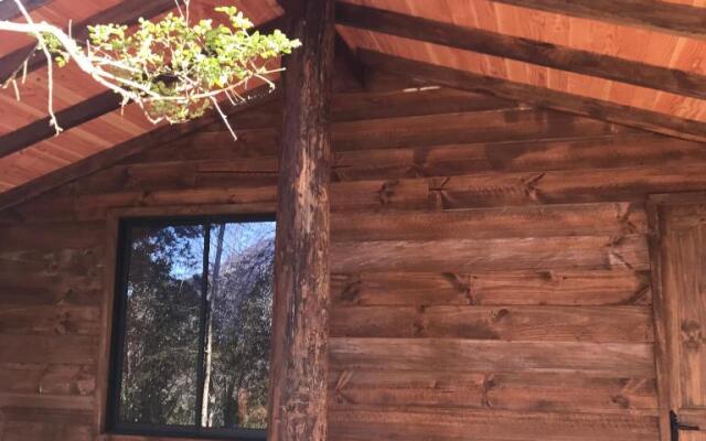 Cabañas Rusticas en Caburgua