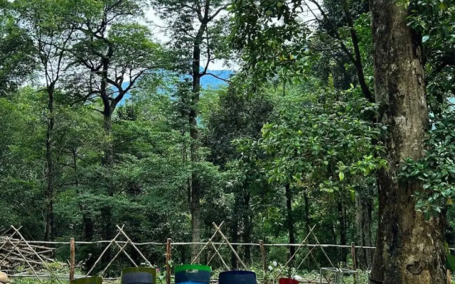 Skyfall Adventures Forest Pool Resort