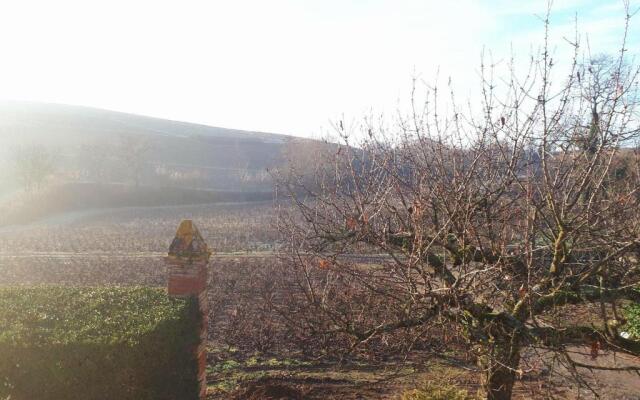 La Maison des Vignes