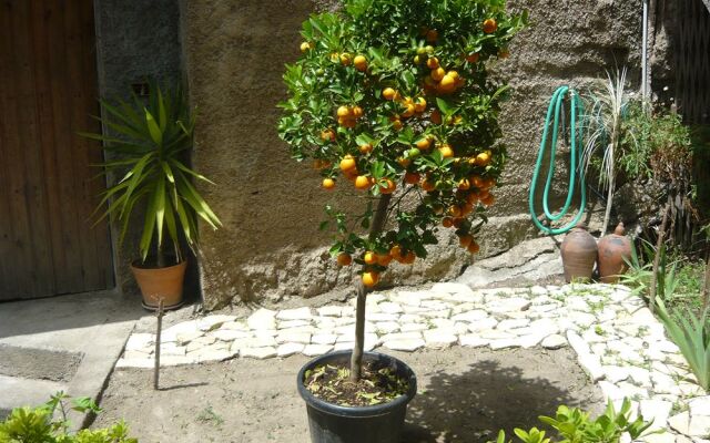 Le Grand Soleil