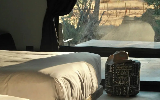 Pulso Valle de Guadalupe