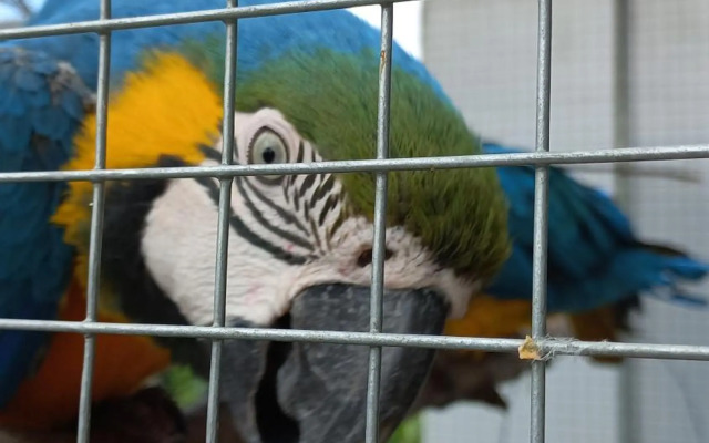 Paradise villa apartment