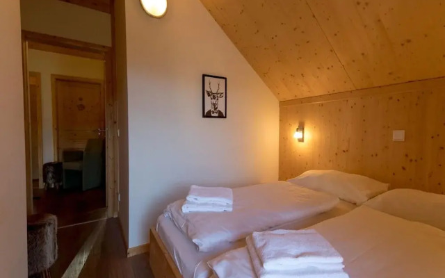 Amazing Chalet With Sauna