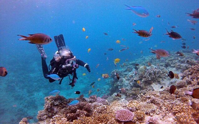 Studio 27 Orient Bay