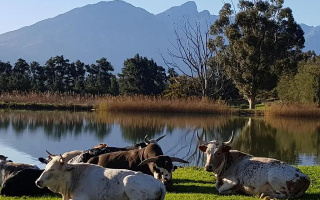 Lemberg Wine Estate