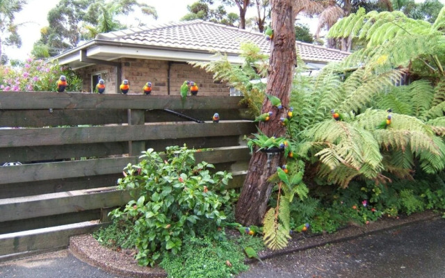 Ocean Drive Apartments