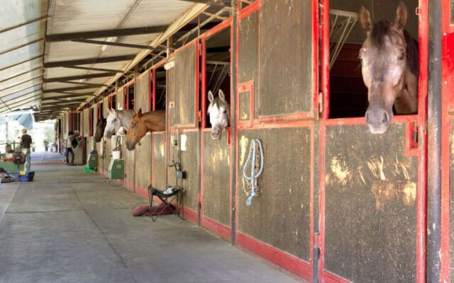 Tipologia Bilocale 15110