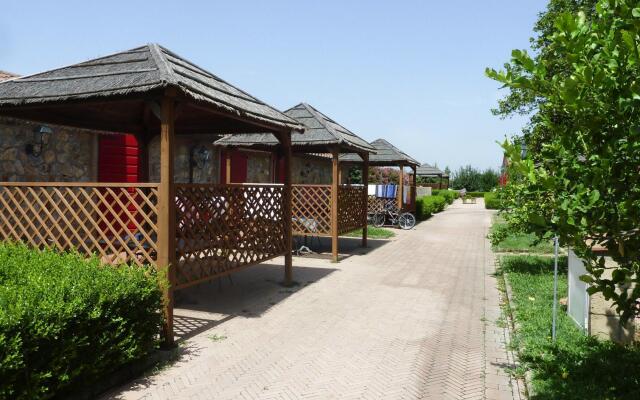 Apartment in Vada in Vada