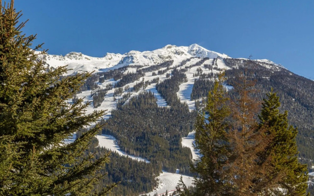 3354 Peak Drive