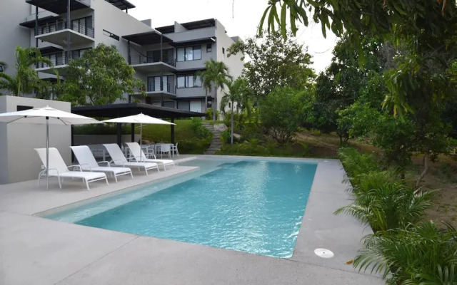 Agaves 204