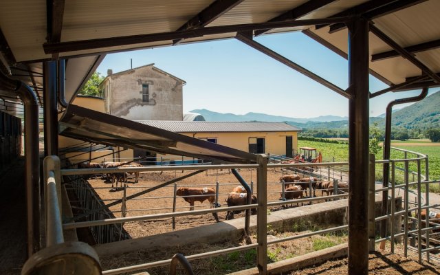 Fattoria Didattica La Collina Incantata