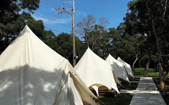 Touching camping