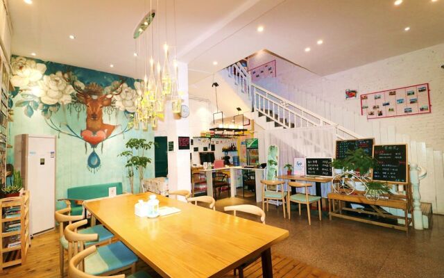 meeting the cats hostel