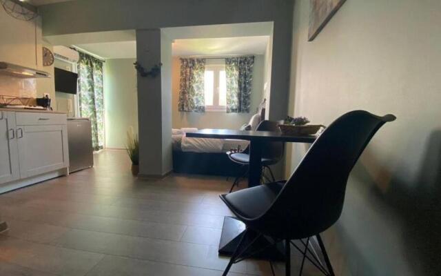 Rooftop Apartment With Garden in Ioannina