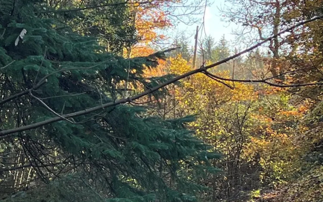 The Ship Inn Self Catering