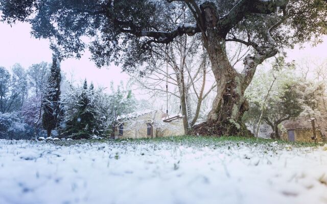 El Manantial Del Fresno