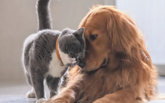 Room-1 Numeris Apartamentai su Balkonu