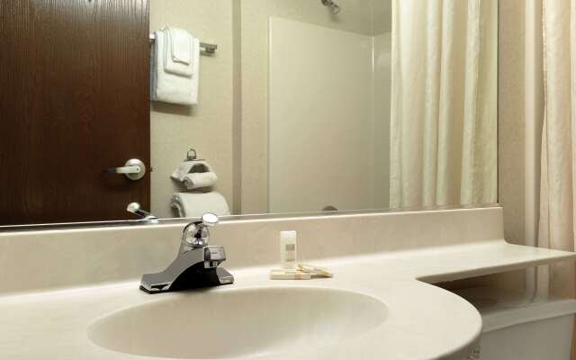Microtel Inn and Suites by Wyndham MSP Airport Bloomington