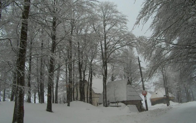 Remarkable 3-bed House in Zabljak