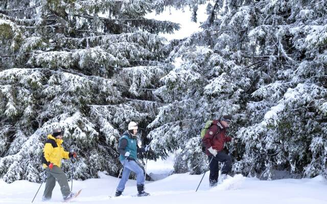 Le Domaine du Mongade by Popinns