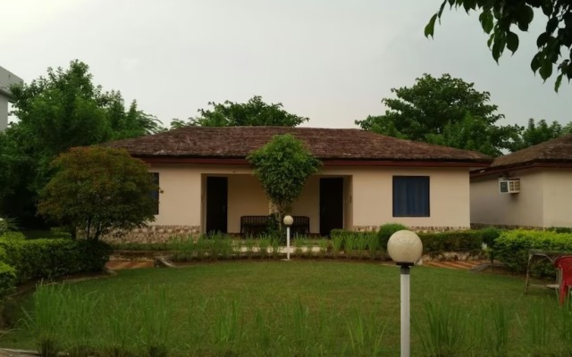 Corbett Amazon Crown