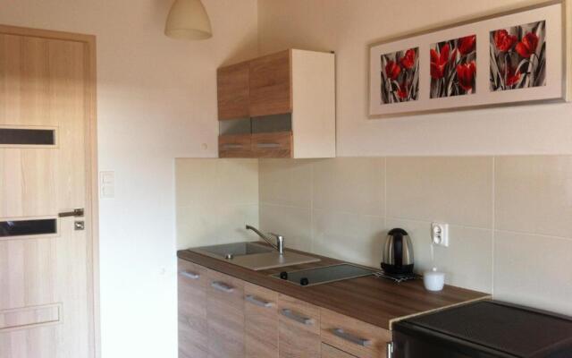 Domki letniskowe,apartamenty Wczasowa 8a