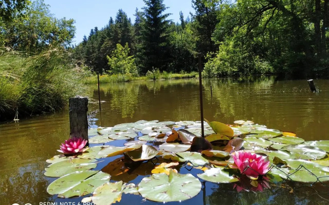 Re(S)Source (Adults Only)