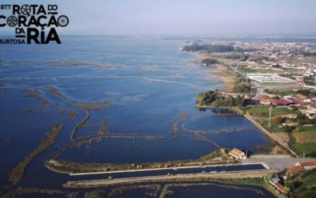 O Cantinho Entre a Ria e o Mar
