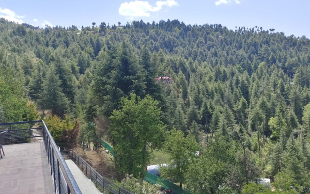 Clarks Exotica Rajgarh