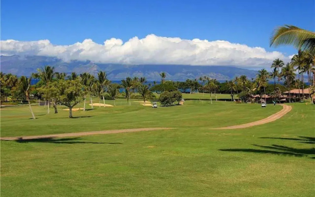 Kaanapali Royal B102 by RedAwning