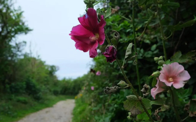 Appartement Sangatte Skipper