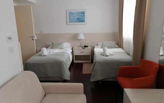 Hotel Borovnik