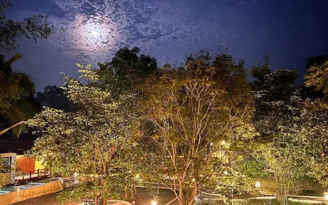 Taal Tiger Resort