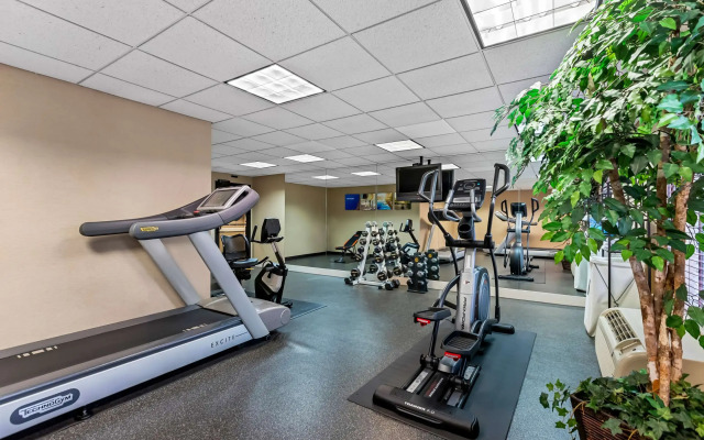 Comfort Inn & Suites Somerset - New Brunswick