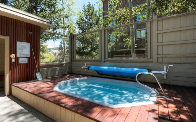 2 Bedroom Shuttle-In/Shuttle-Out Village View Hot Tub-Common