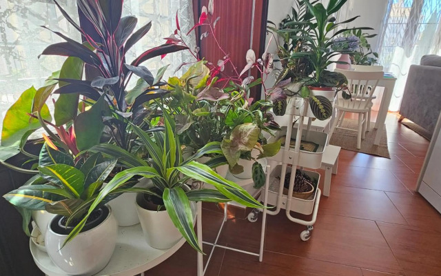 Apartamentos Los Descalzos Ángel