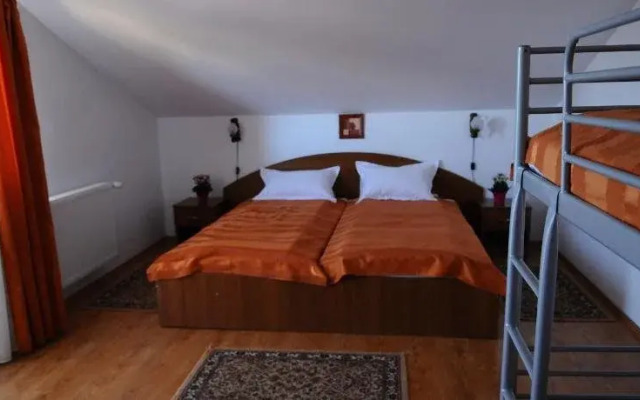 Vila Paltinis