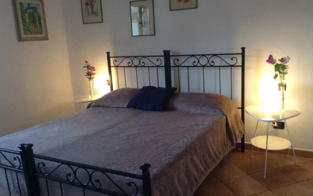 Vellutini Number One