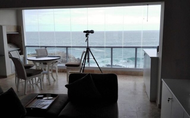 Whale View 9
