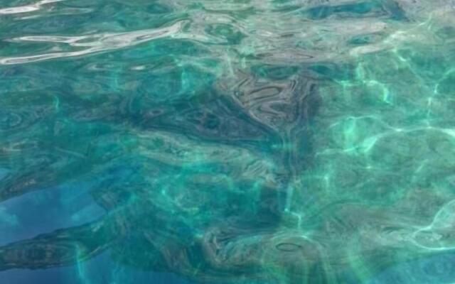 Palazzo Conforti B&B