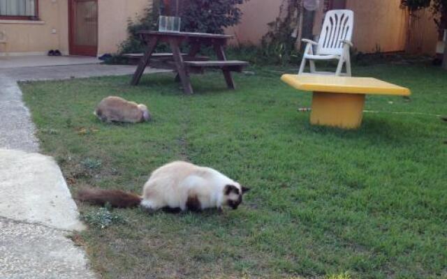 חוויה ברמה - Chavaya Barama