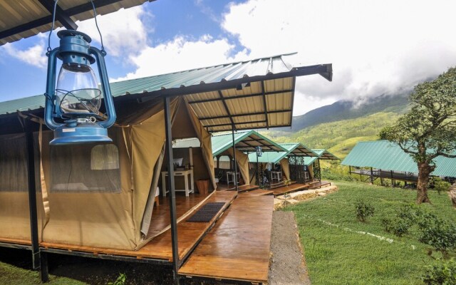 Wild Glamping Knuckles