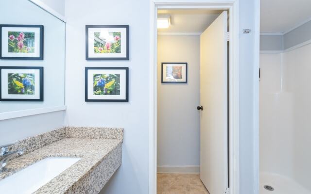 Mountainside Inn 408 1 Bedroom Hotel Room by Alpine Lodging Telluride