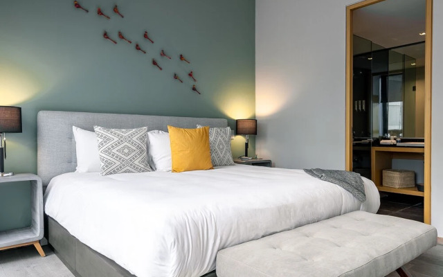 Amazing Luxury 2BR Apt. in Polanco