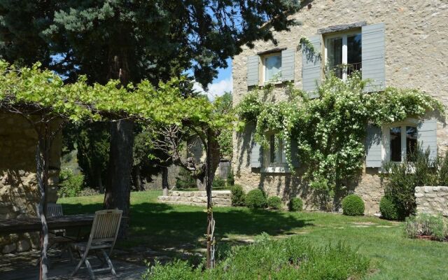 La Couleur des Vignes