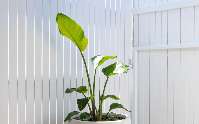 The Beach Hut, Jervis Bay