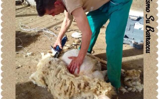 Agriturismo Su Barraccu