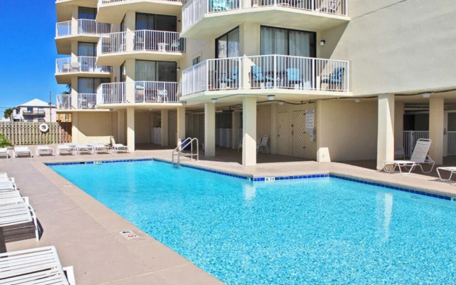 Whaler by Youngs Suncoast